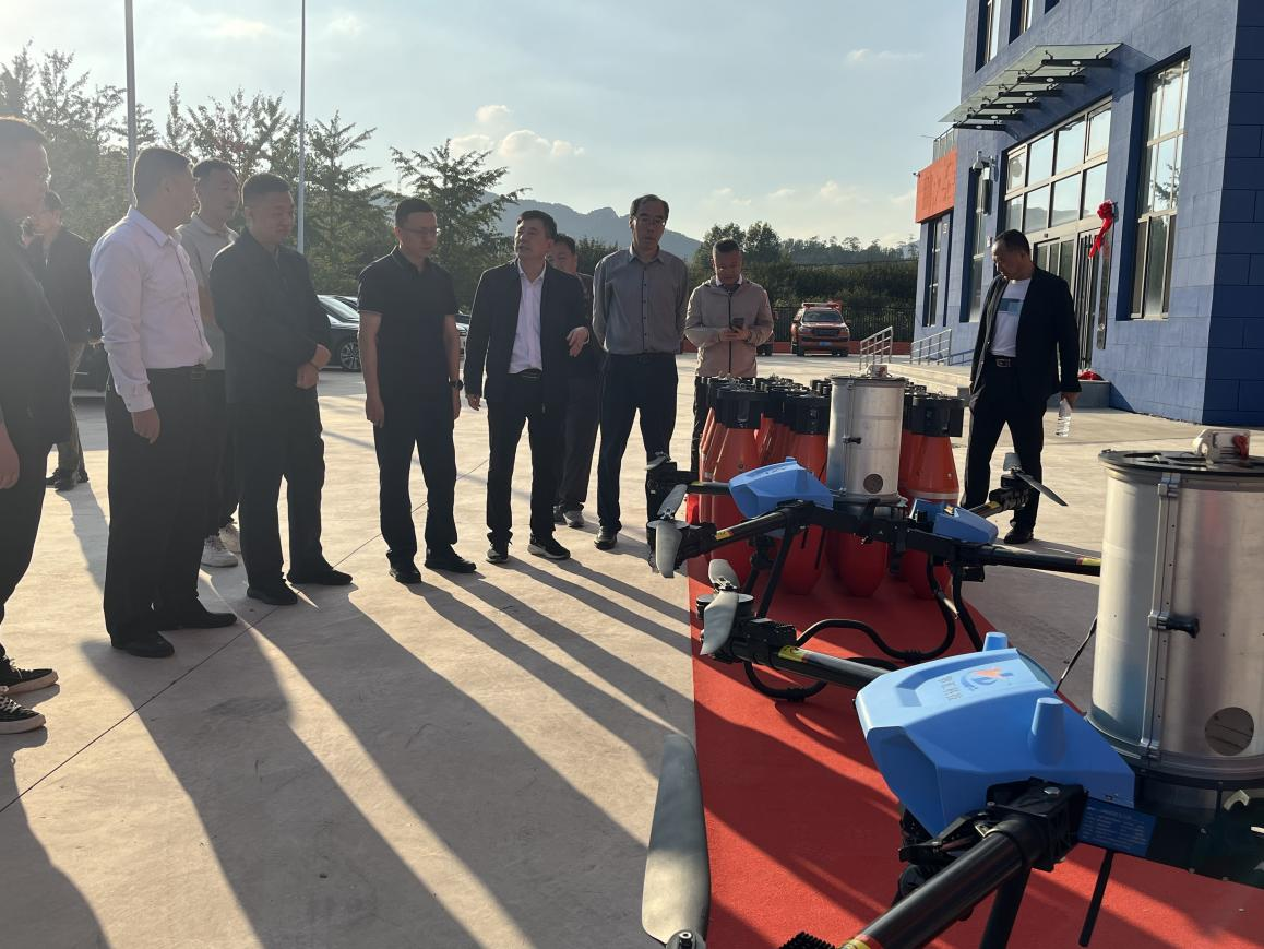 图片4.png 图片4.png